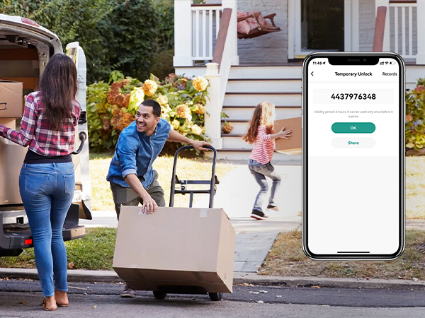 Smart Lock Door Knob Gold