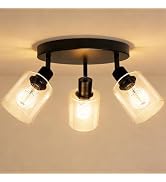 HiBay 3-Light Track Lighting Fixtures Ceiling, Multi Directional Spotlight Round with Glass Shade...