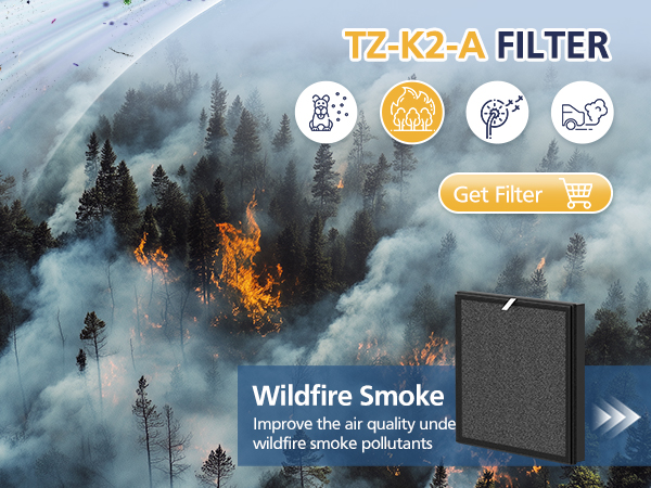 tz k2 replacement filter