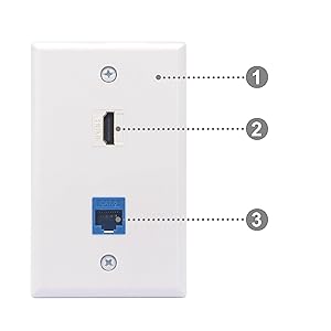 VCE Ethernet hdmi Wall Plate 