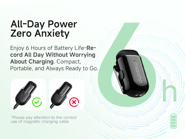 6H Battery