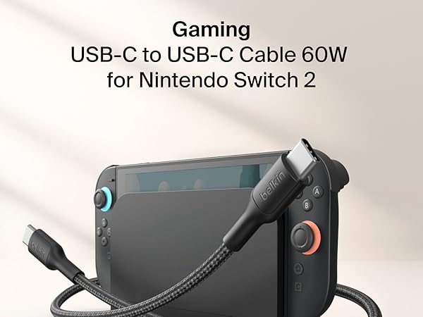 Nintendo Switch Charging Cable