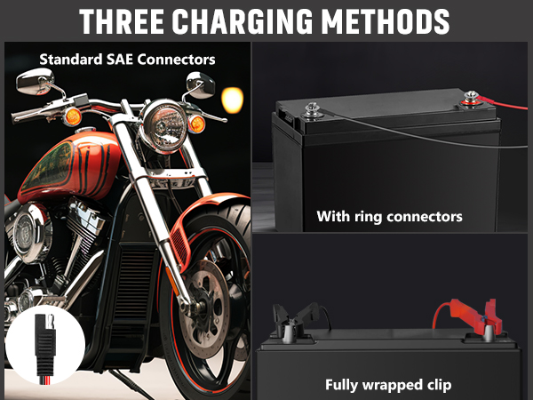 car battery charger 12v