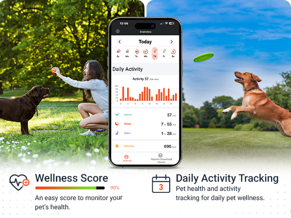 pet loaction tracker