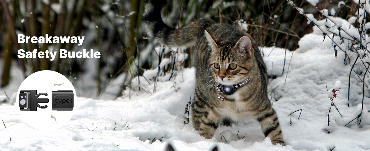 cat collar breakaway