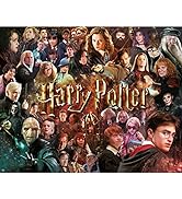 Harry Potter Movie Collage 1000 Piece Jigsaw Puzzle