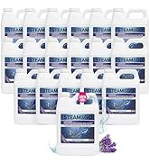 Steam &amp; Go Demineralized Water for Steam Cleaner, PVC-Free Floor Cleaner Liquid Compatible With A...