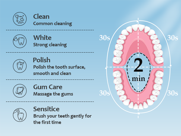 Lächen Electric Toothbrush for Adults – Sonic Rechargeable
