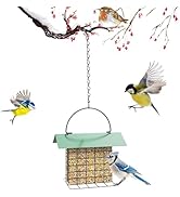 FLINTER Bird Feeder for Outdoors, Suet Feeder Hanging Bird Feeder, Adjustable Chain Hanging for G...