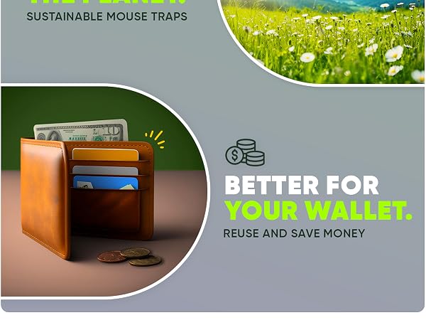 Humane Mouse Trap