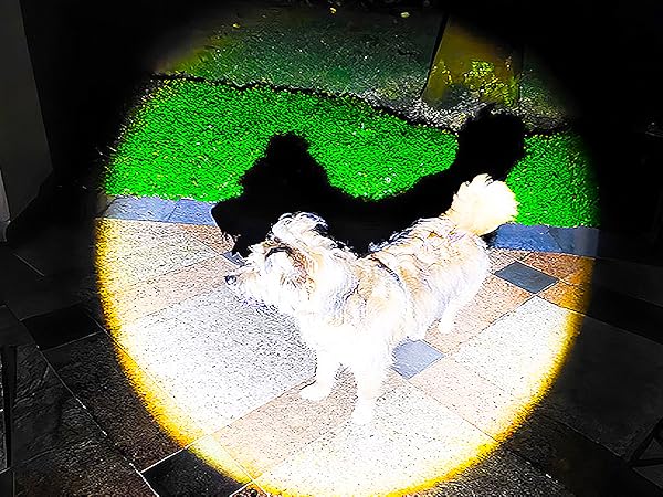 head lamp for walk