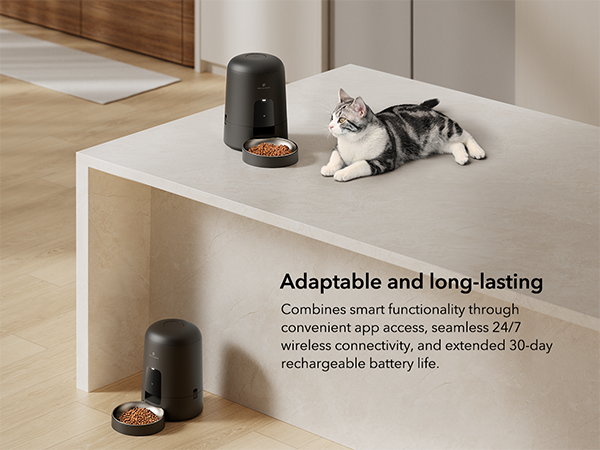 dog food dispenser automatic