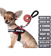 Service Dog Vest Harness and Leash Set, Animire in Training Dog Harness with 8 Dog Patches, Refle...