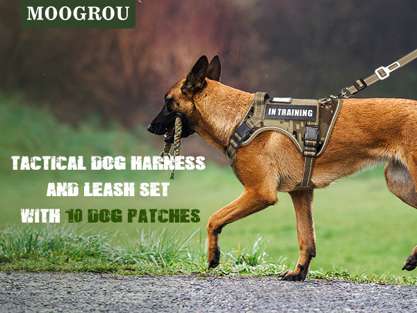 tactical dog hanress set camo desert