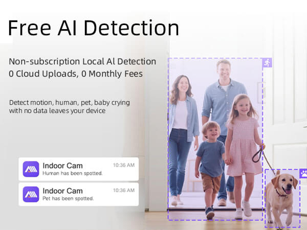 Free AI Detection