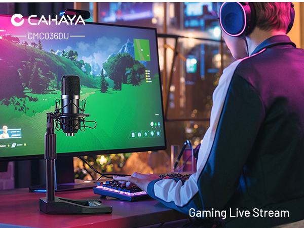 Gaming Live Stream