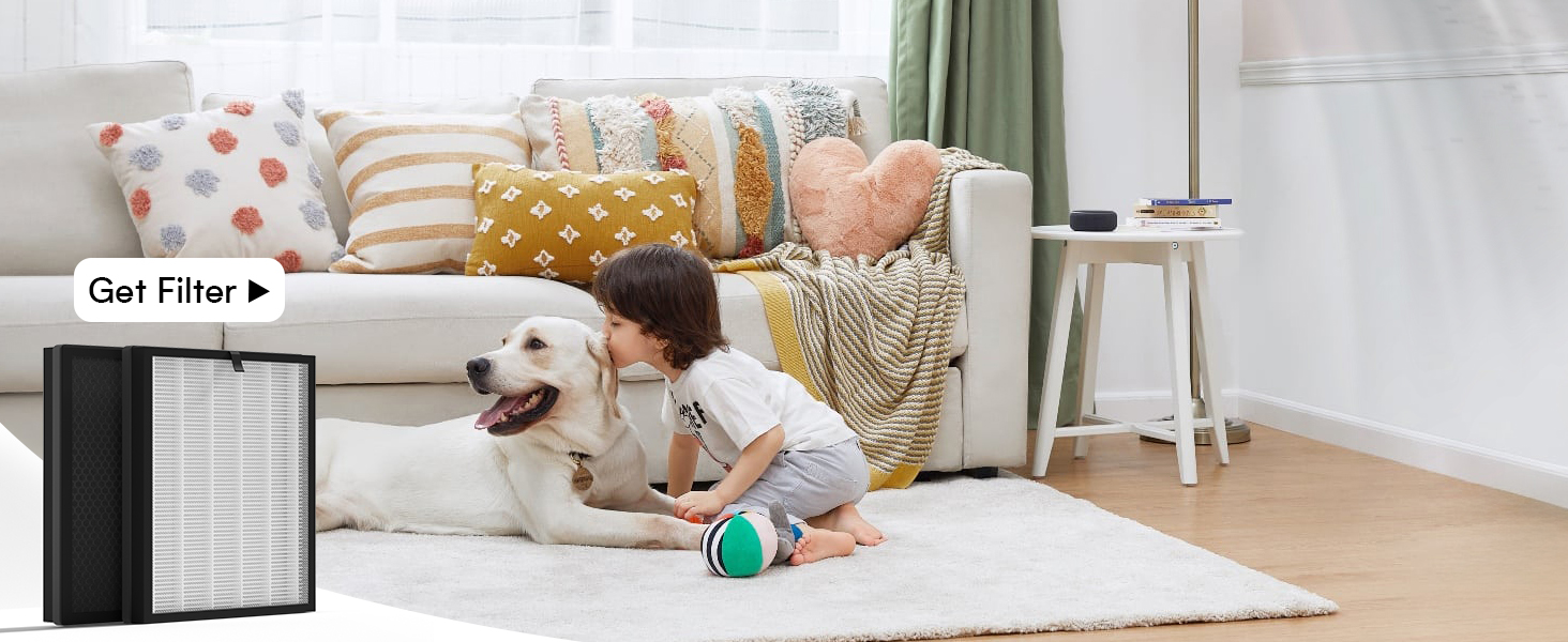 hepa air purifier