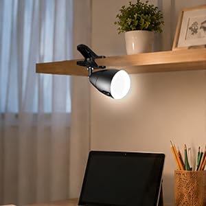 cilp on light clipped to shelf