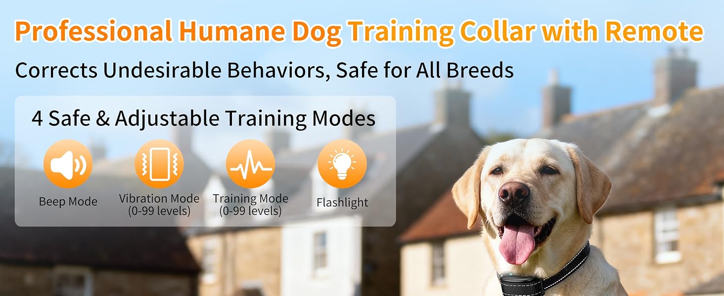 dog training collar 1