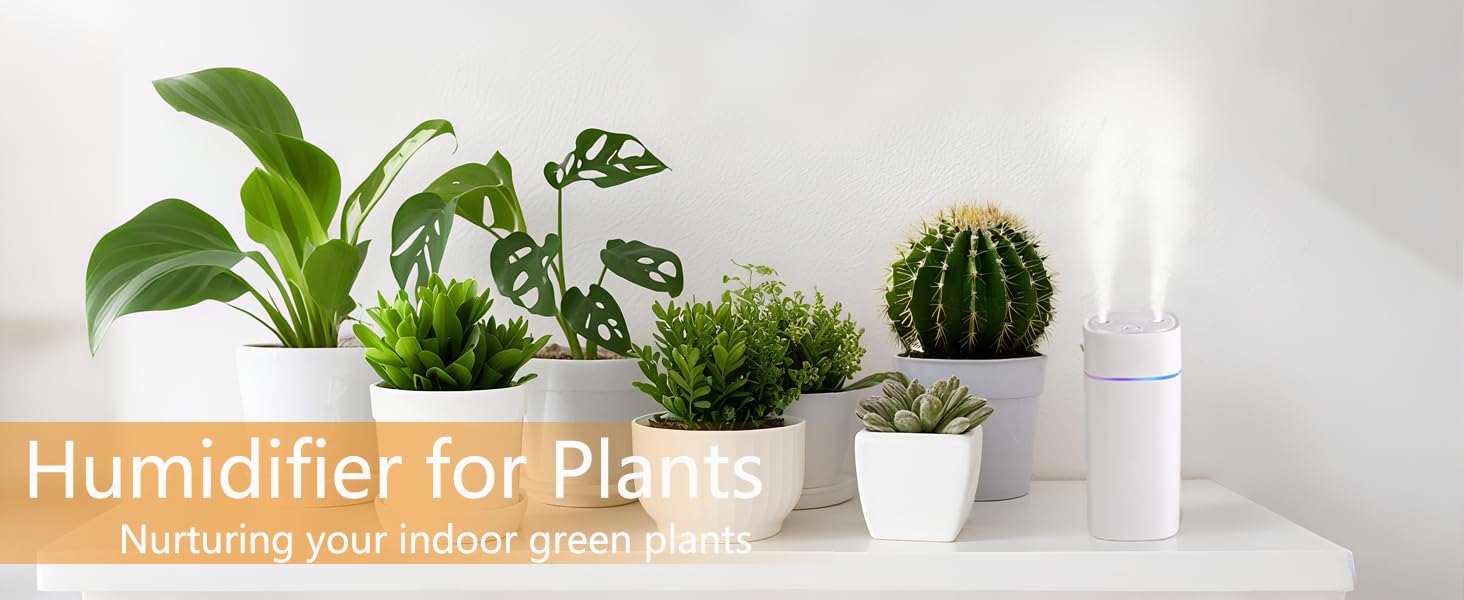 humidifier essential oil diffuser plant humidifier indoor humidifier for plants air humidifier