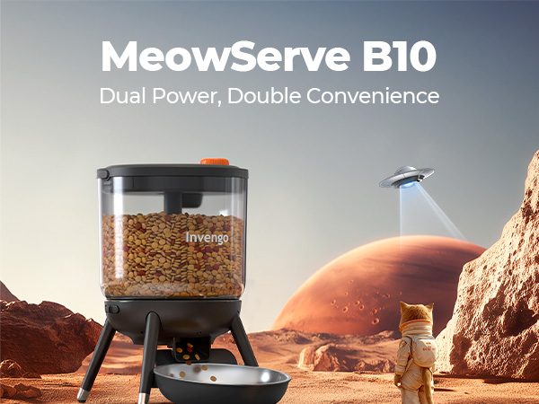 meowserve B10