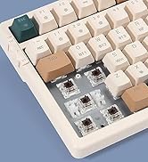 Merdia Wireless Mechanical Keyboard, Triple Mode 2.4G/USB-C/BT Gaming Keyboard 100 Keys RGB Backl...