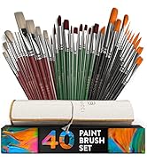 40 Pieces Professional Artist Paint Brush Set with Storage Case - Includes Round and Flat Art Bru...
