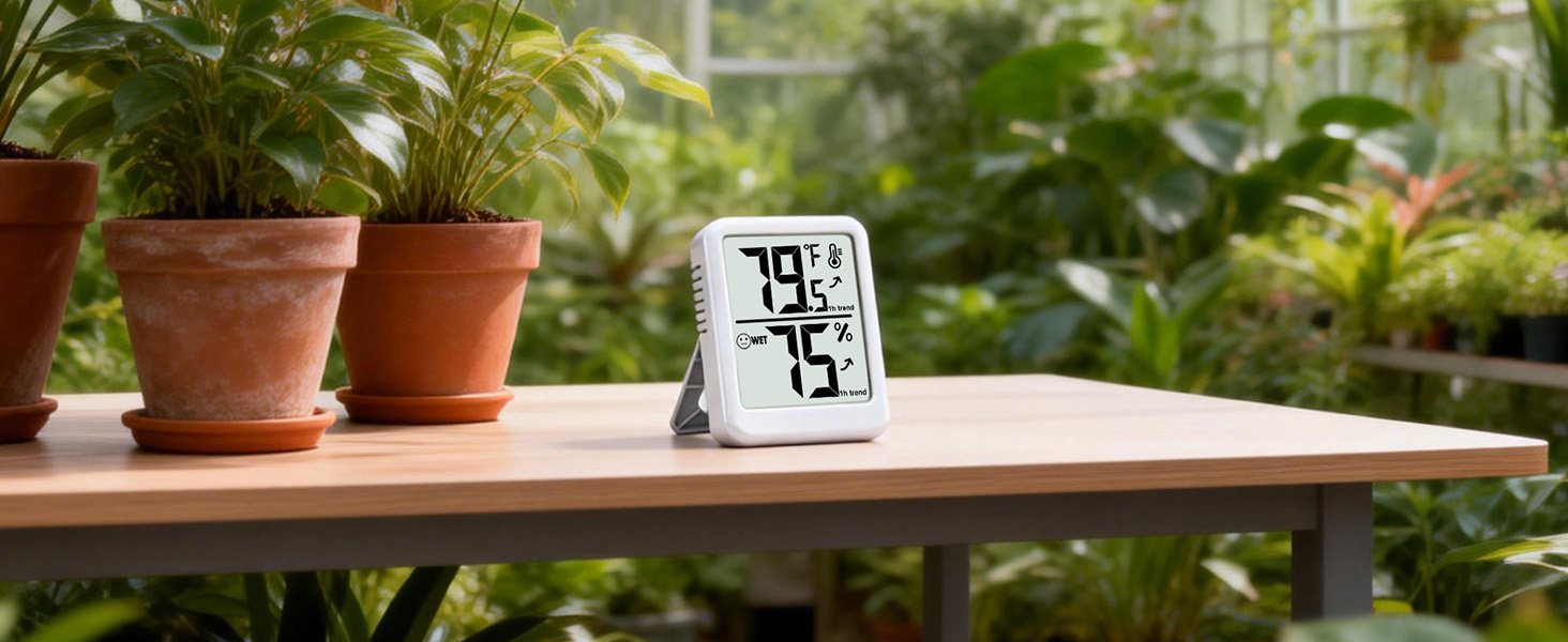 Indoor Hygrometer