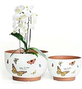 YBX 8 Inch + 6 Inch Terracotta Plant Pots, Flower Pots for Indoor Plants with Drainage, Planters ...