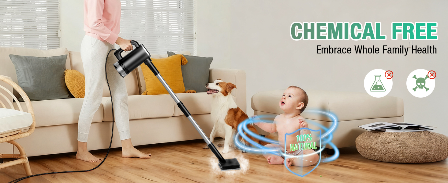 steam mop for hardwood floors