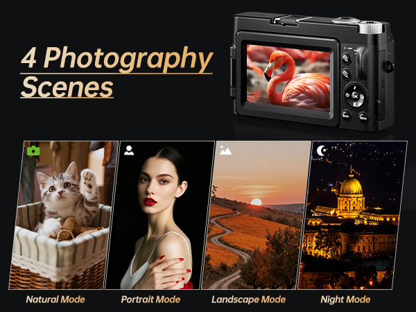 4 photography scenes