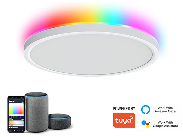 smart ceiling light