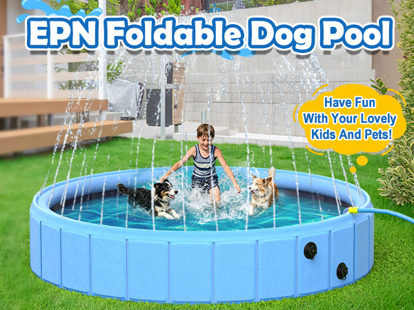 Dog Pool