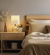 EJIAXIN Glass Table Lamps Set of 2 - Textured Clear Glass Lamp Fillable Small Desk Table Lamps fo...