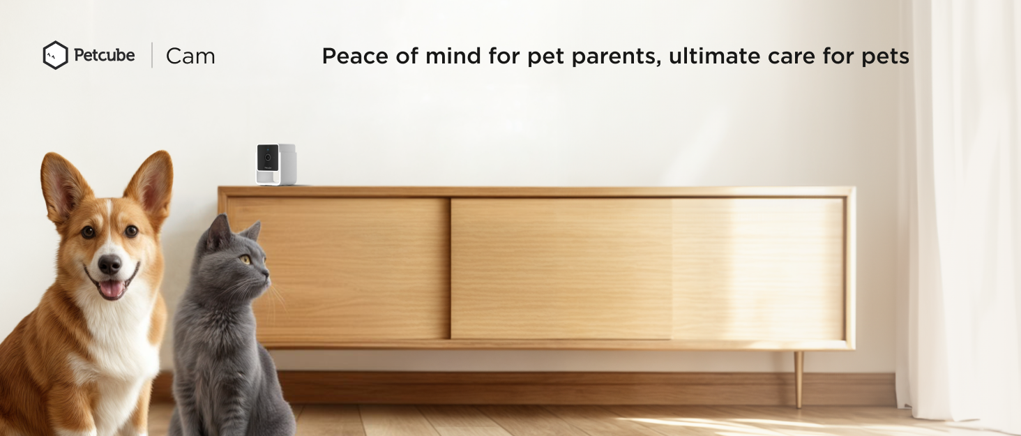 Smart pet camera for monitoring dogs and cats at home