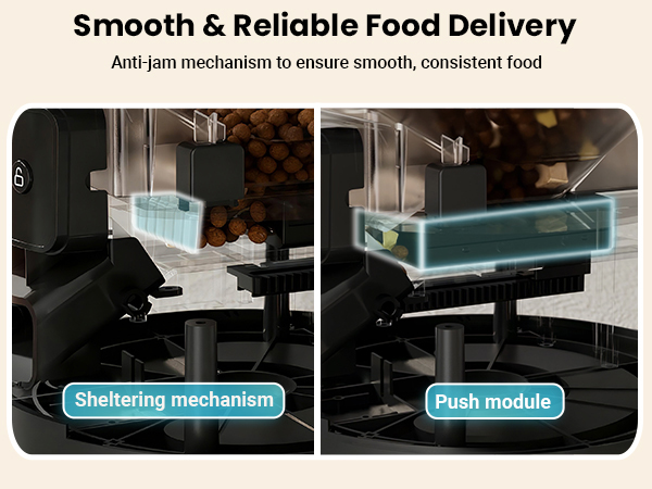 automatic cat feeder