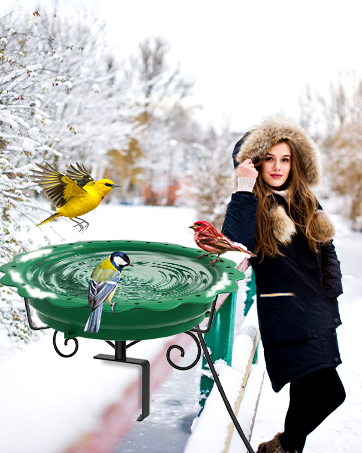 Heated Bird Baths for Outdoors