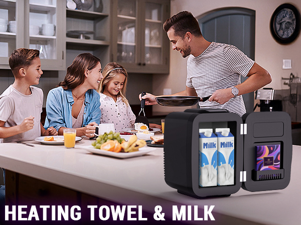 Mini Fridge Small Refrigerator Portable Thermoelectric Cooler and Warmer Fridge