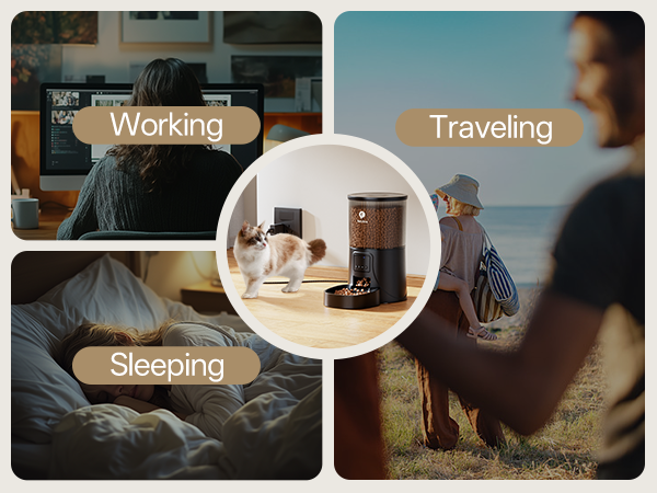 indoor auto cat feeder