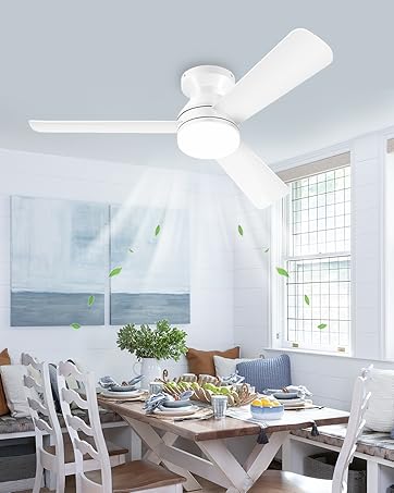 ceiling fans