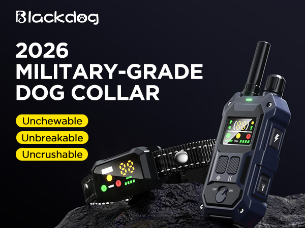 dog shock collar