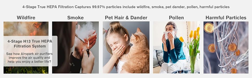 air purifier for pets hair dander smoke