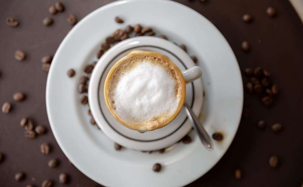 Silverdome milk frother-The perfect cup