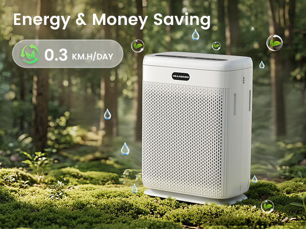 air purifiers for large rooms