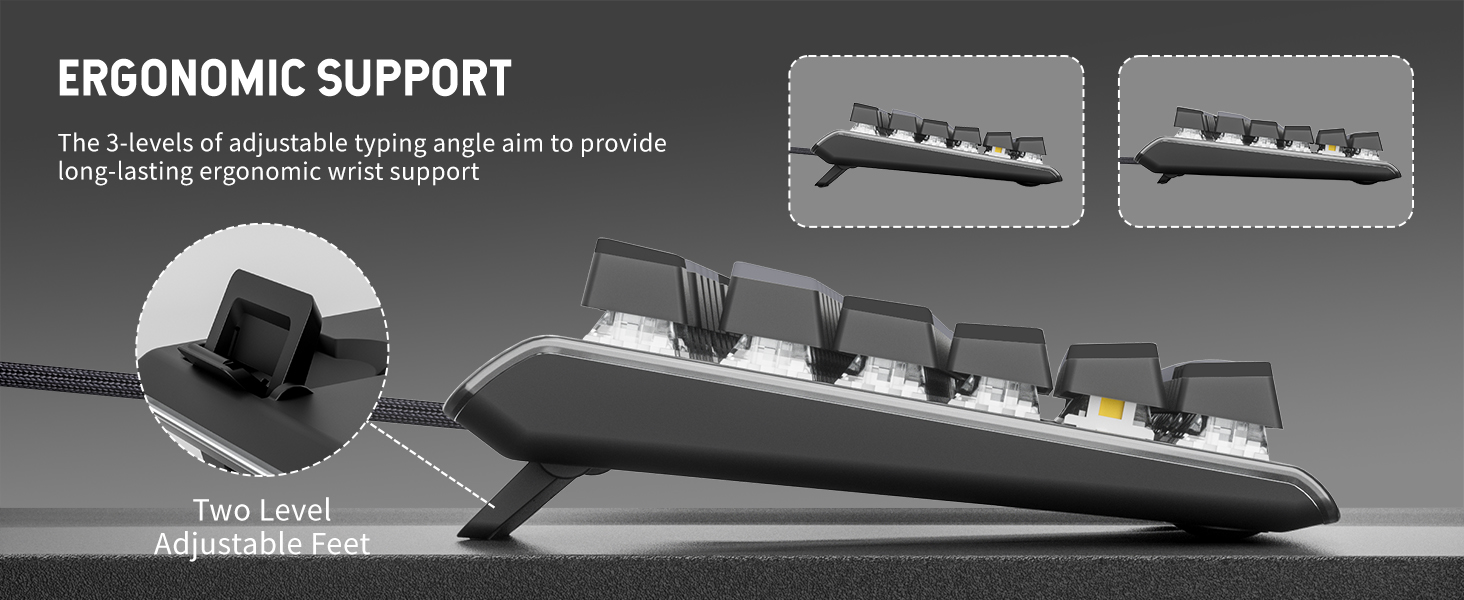 Ergonomic Support