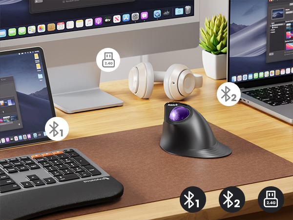 trackball mouse