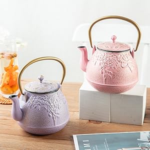 cast iron teapot for stove top tea kettle for stove top stovetop cast iron humidifier with infuser