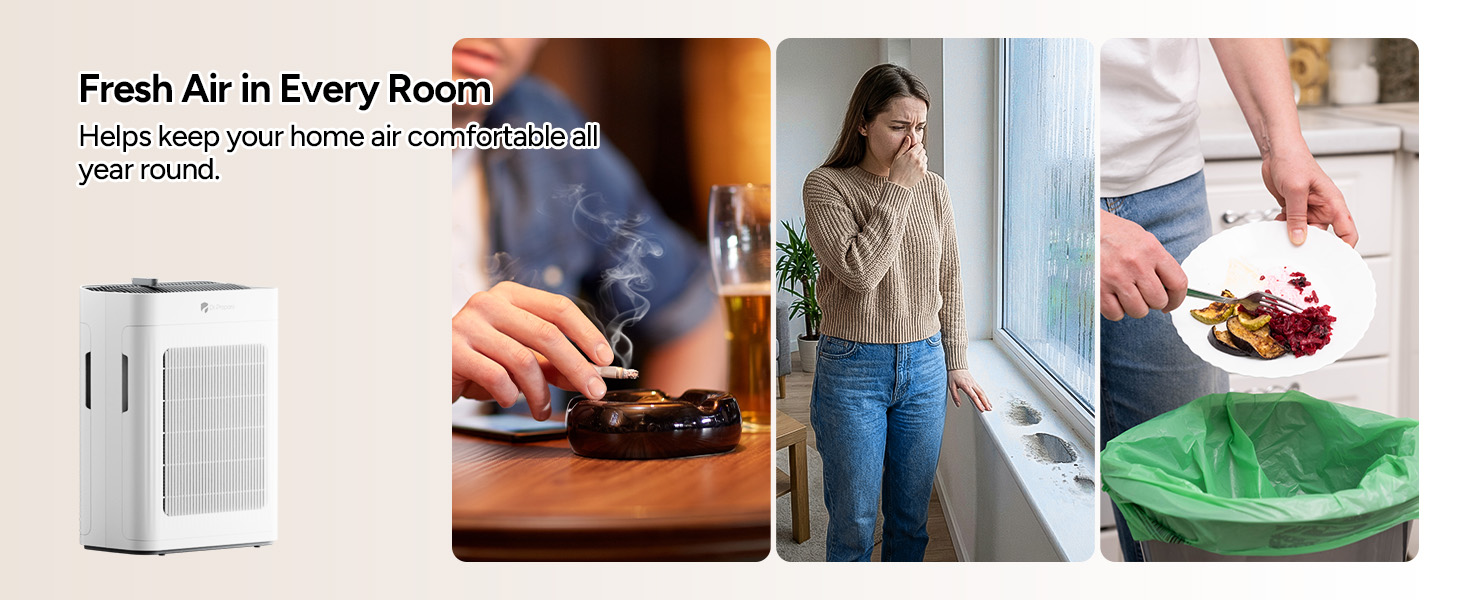 hepa air purifiers for mold