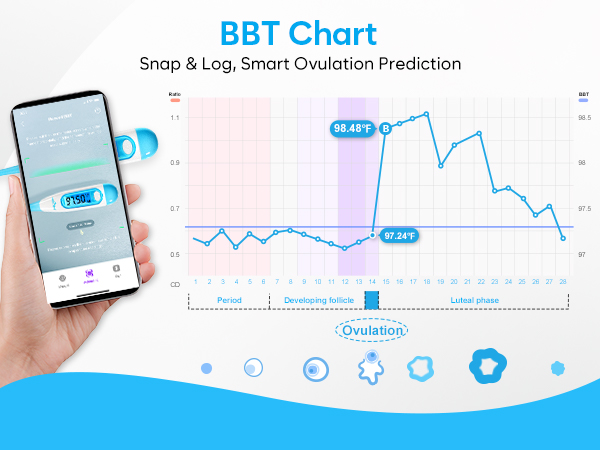 basal body thermometer