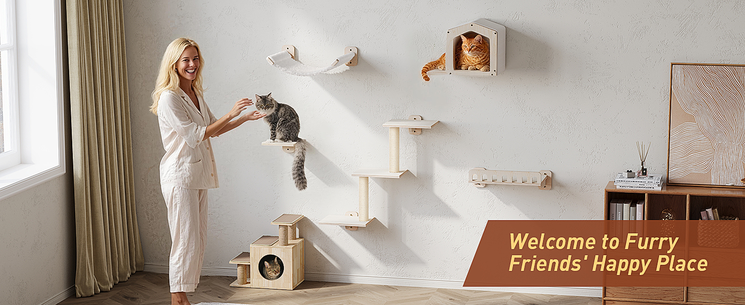 cat wall shelves